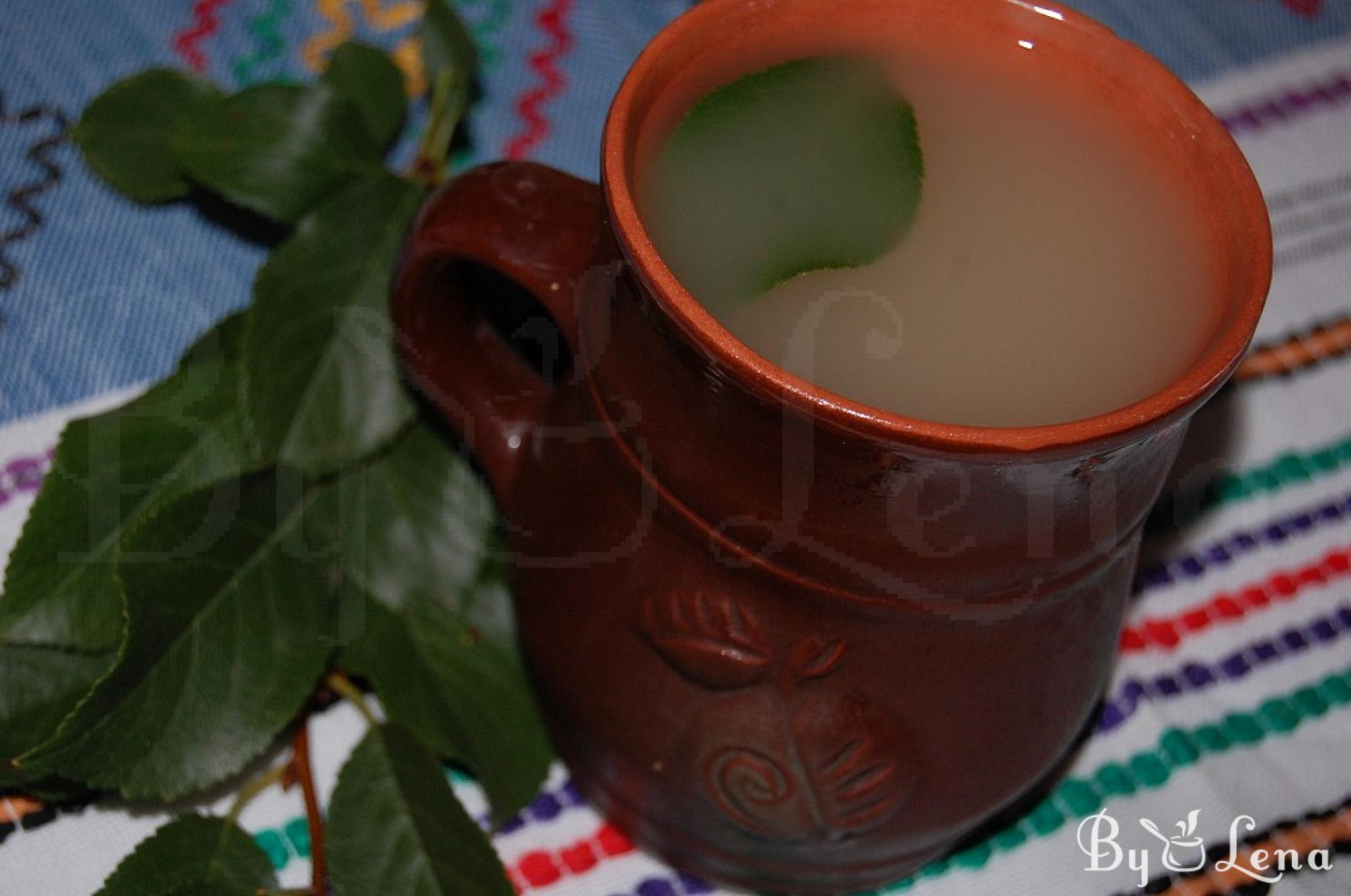 Make Authentic Romanian Borsch at Home - ByLena.com