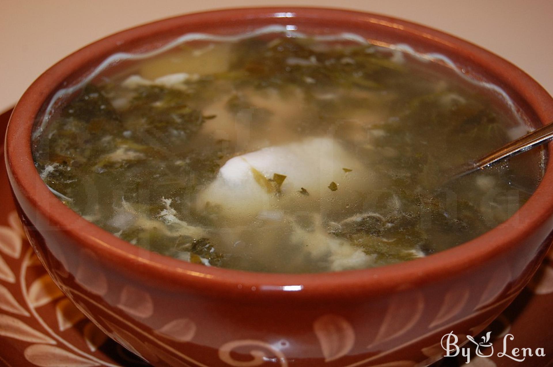 Chicken Nettle Soup with Sorrel - ByLena.com