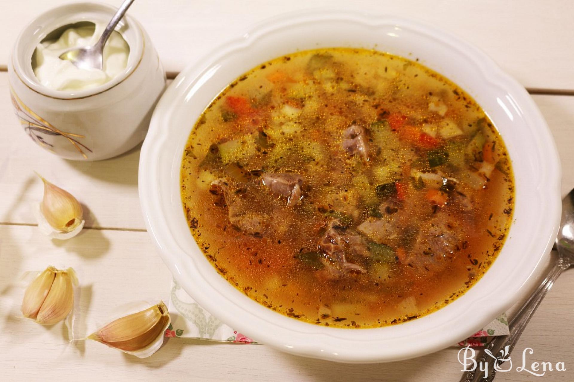 Vegetable Beef Soup - ByLena.com