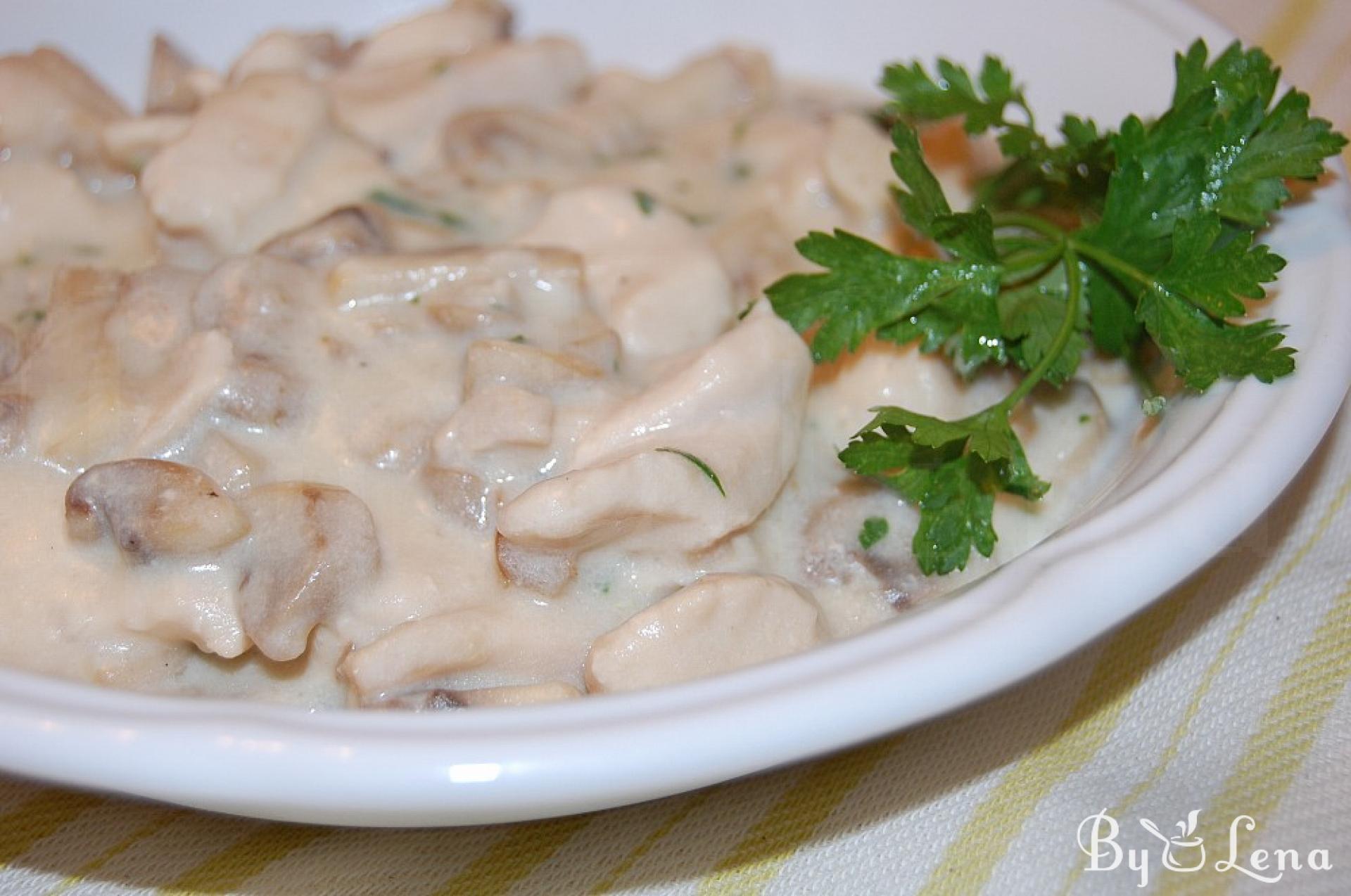 Romanian-Style Creamy Chicken and Mushroom Stew Recipe - ByLena.com