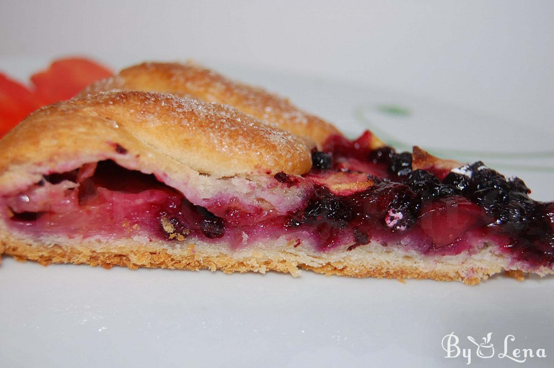 Apple and Blueberry Galette (Vegetarian) - ByLena.com