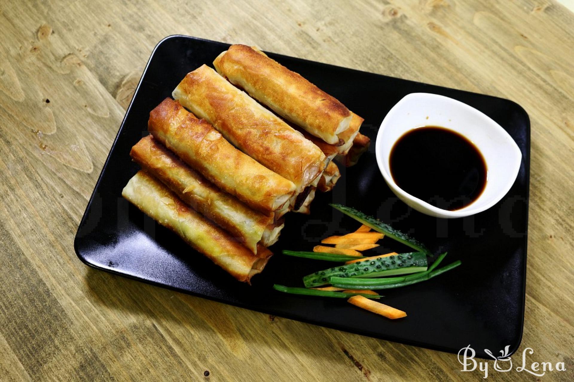 Chinese Spring Rolls - ByLena.com