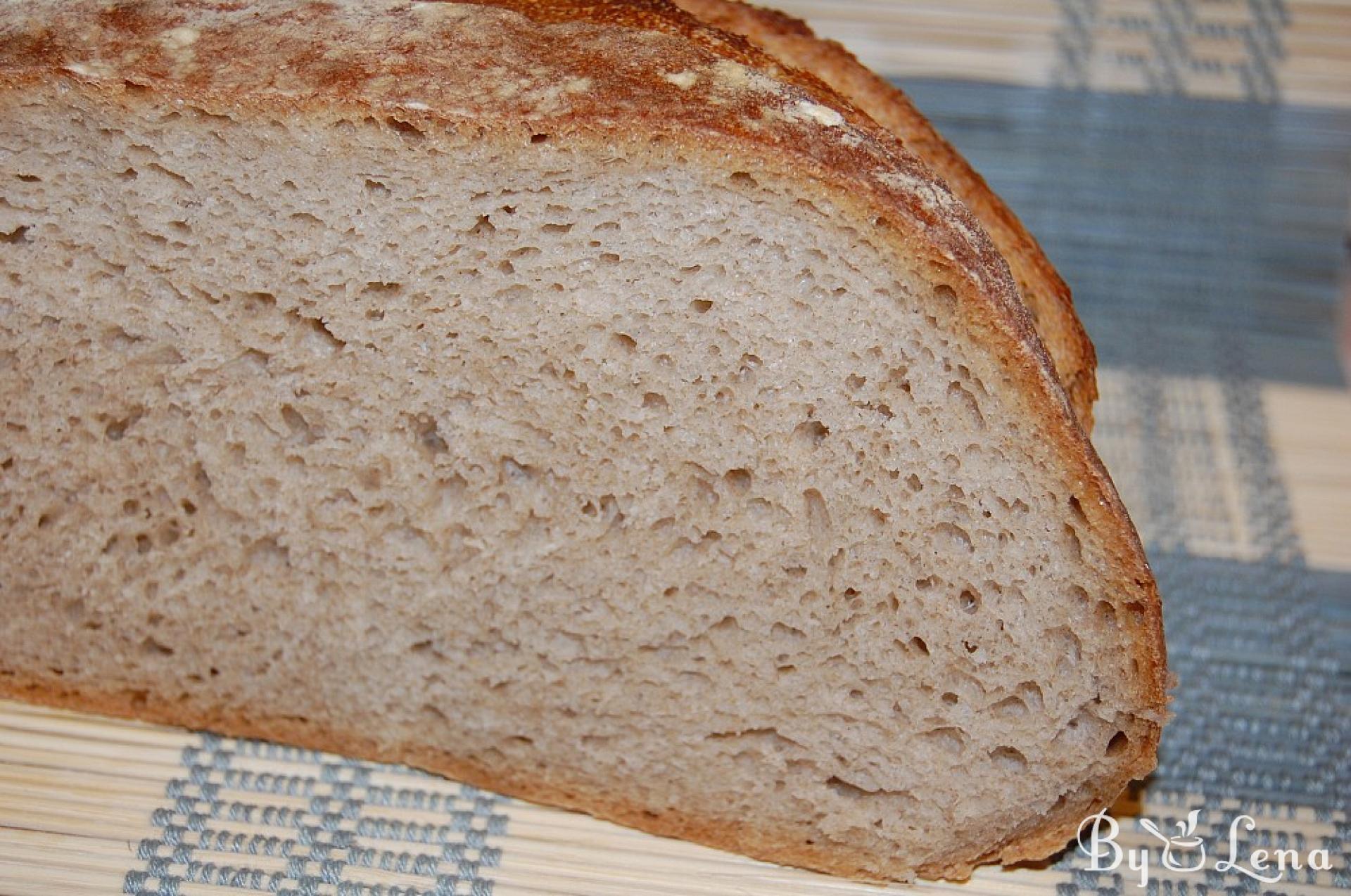 Sourdough Country Bread - ByLena.com