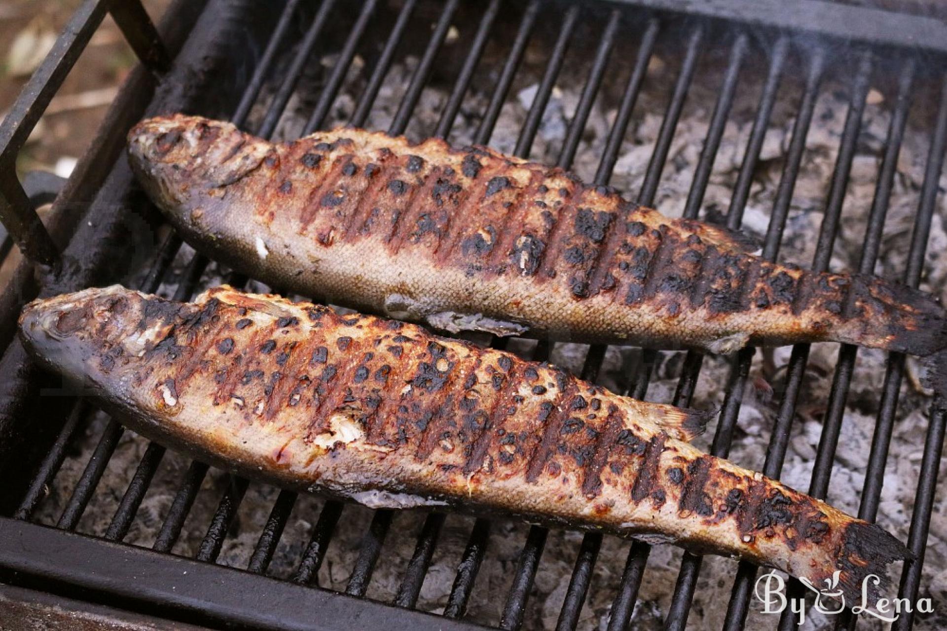 Grilled Trout Recipe - ByLena.com