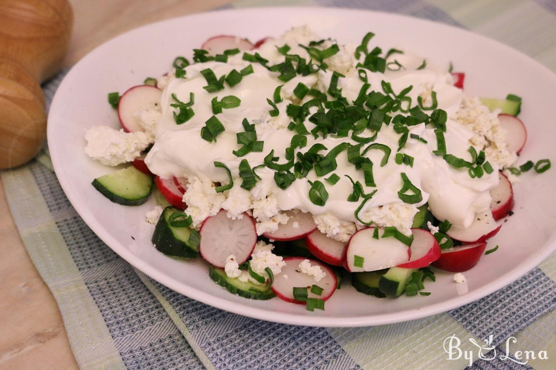 Cucumber Radish Salad with Cottage Cheese - ByLena.com