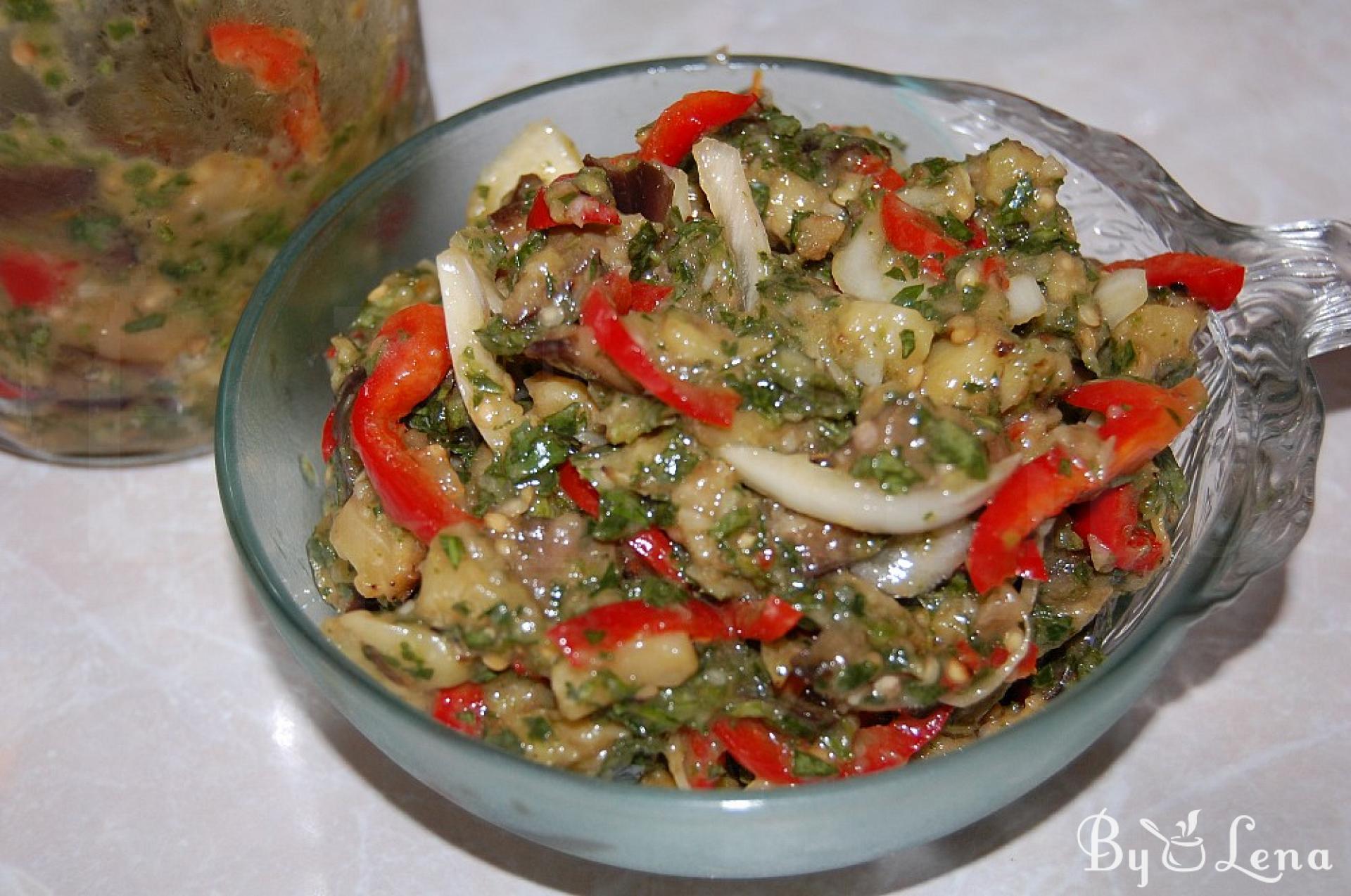 Spicy Eggplant & Vegetable Salad Recipe - ByLena.com