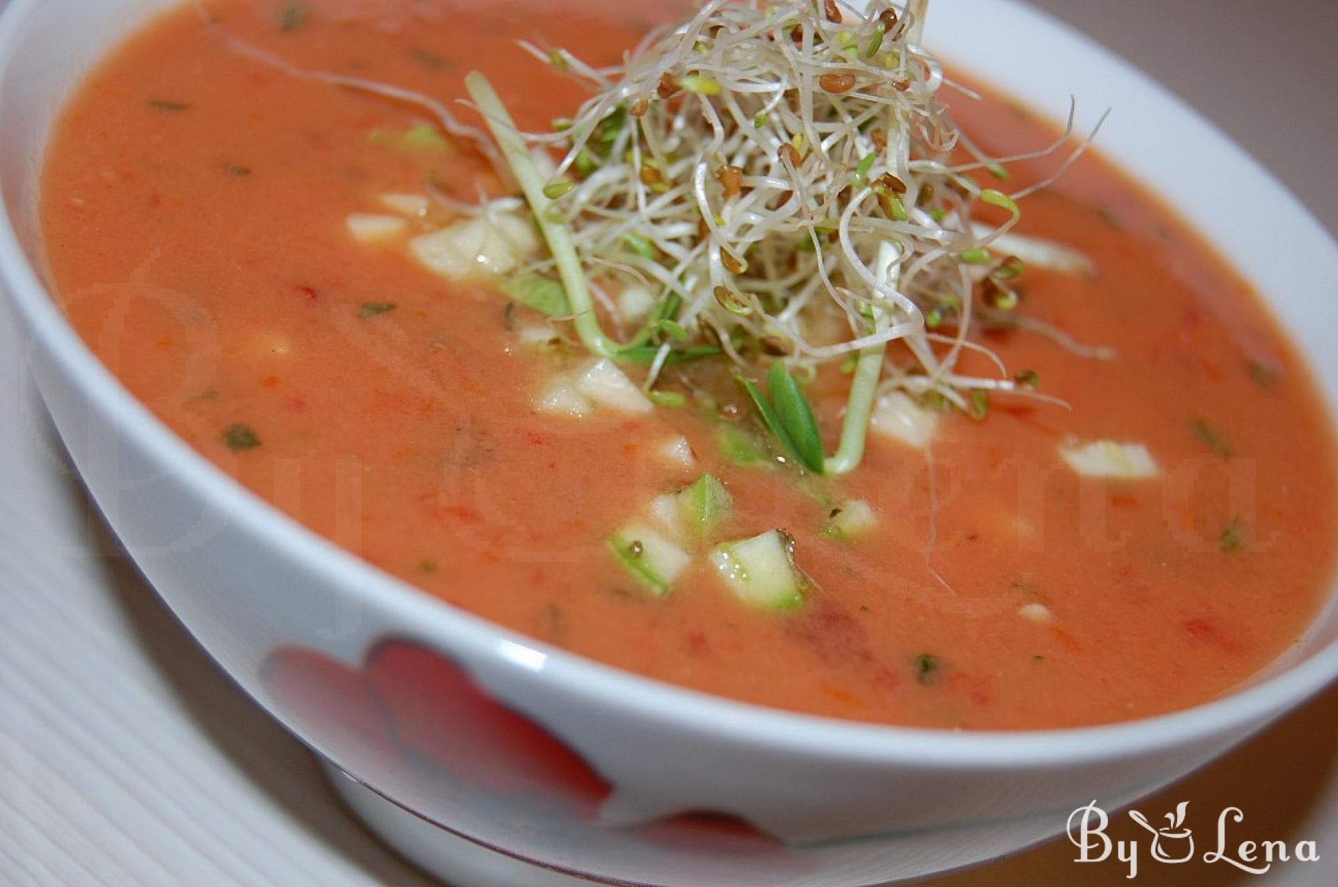 Delicious Raw Tomato Soup Recipe - ByLena.com