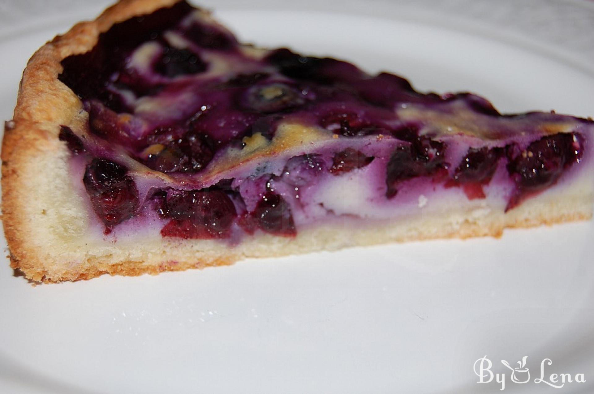 Classic Blueberry Tart Recipe - Fresh or Frozen Berries - ByLena.com