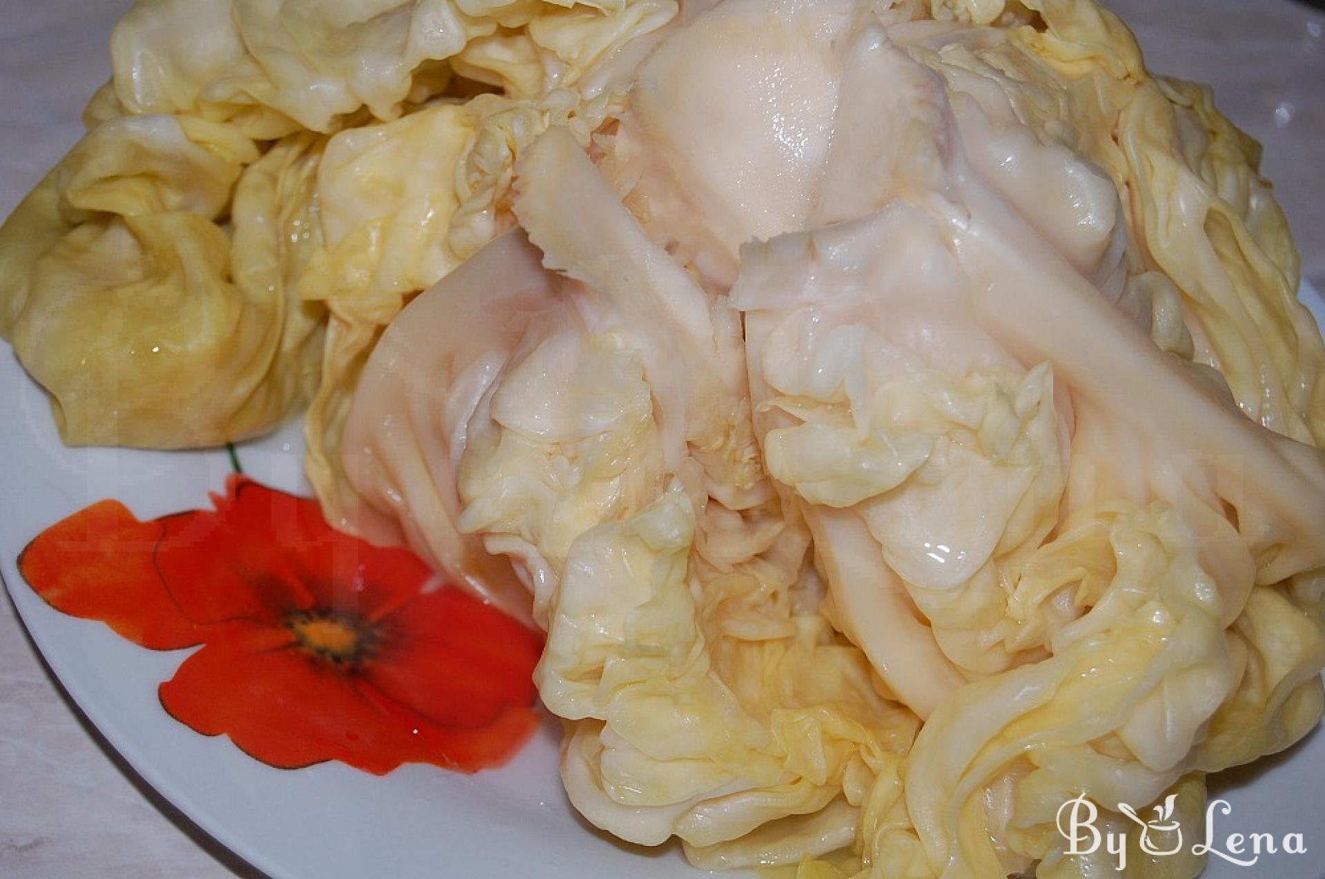 Perfect Fermented Cabbage Recipe - ByLena.com