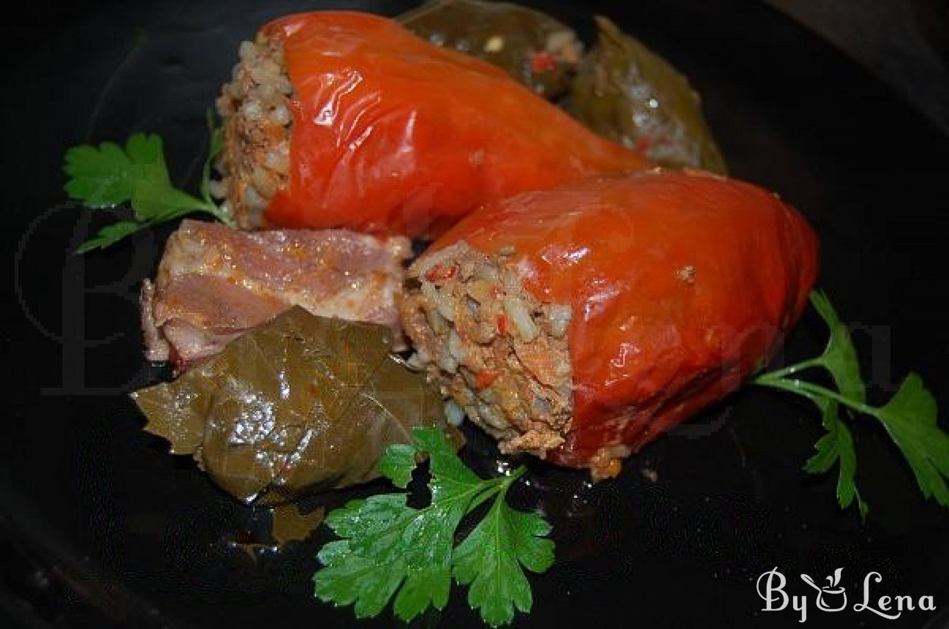 Authentic Romanian Stuffed Peppers Recipe - ByLena.com