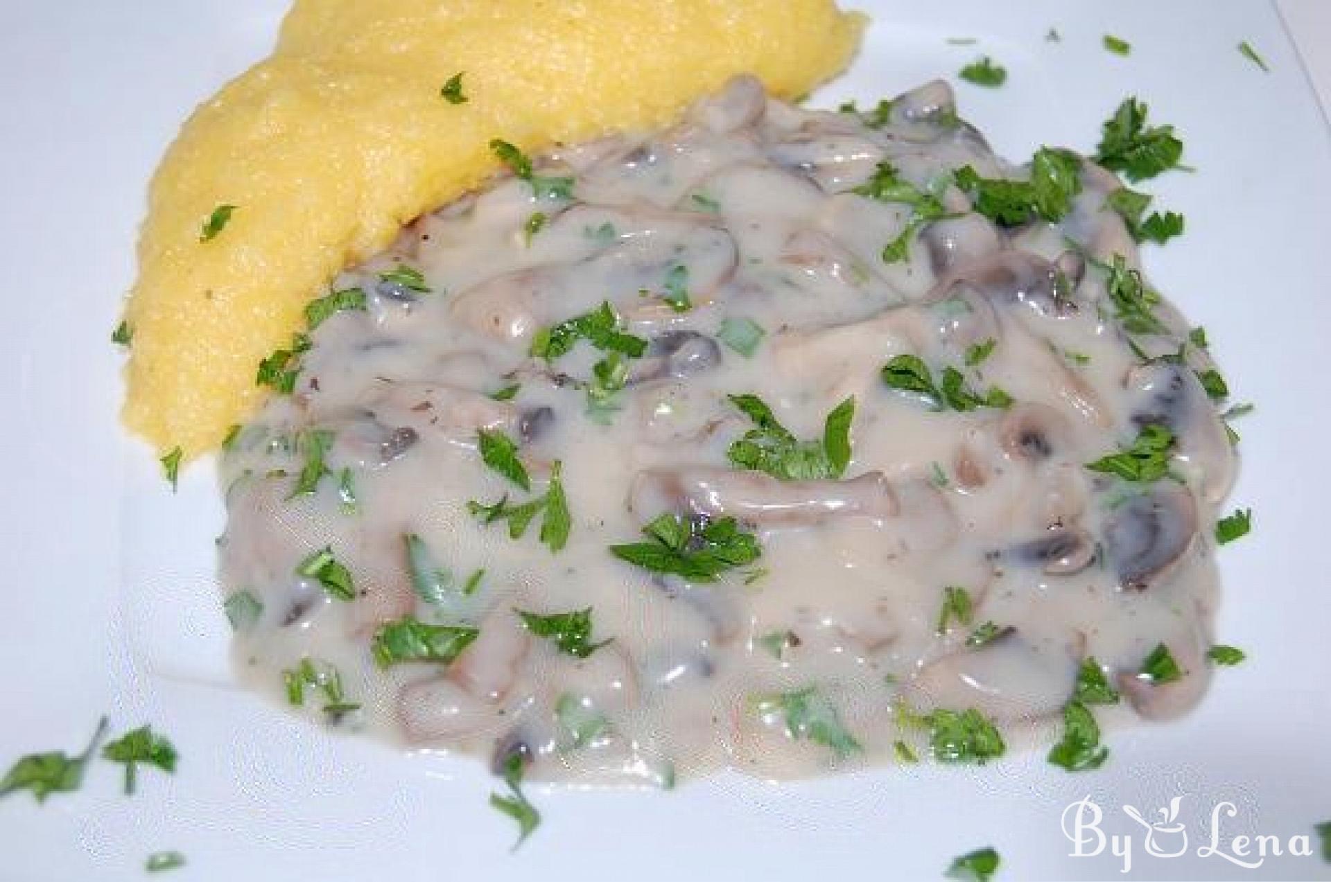 Vegan Mushroom Sauce - ByLena.com