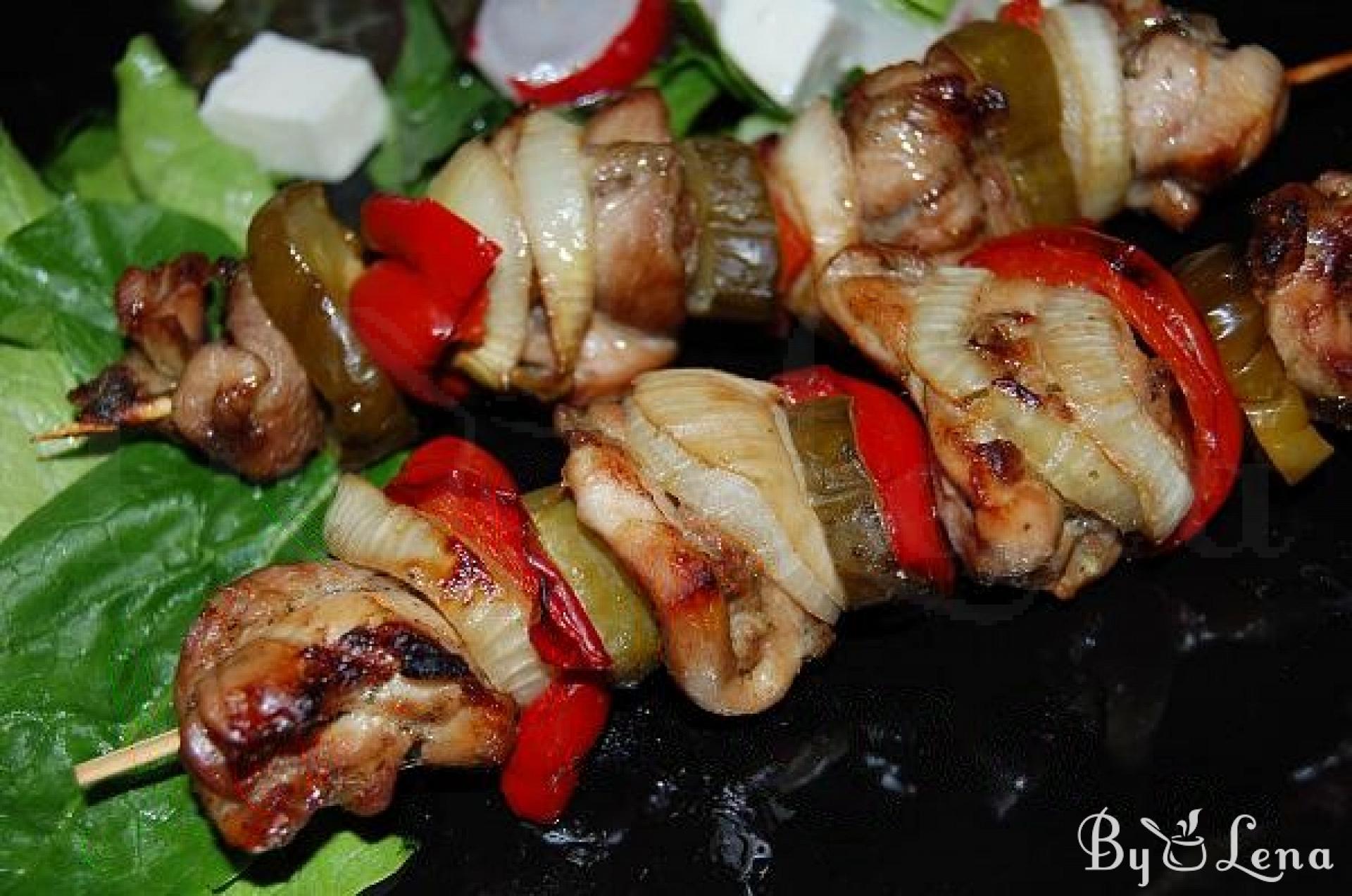 Chicken Skewers with Vegetables - ByLena.com