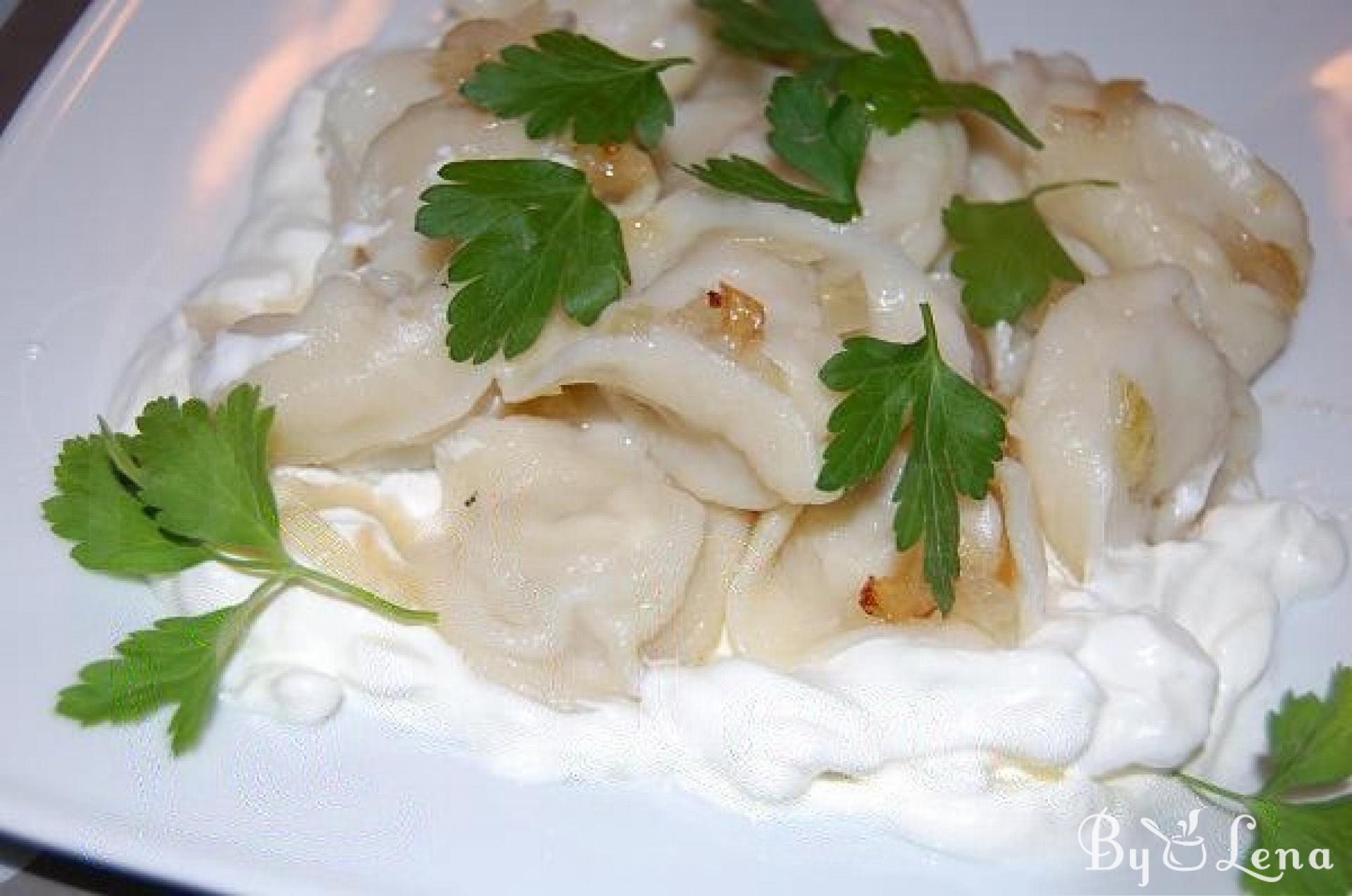Russian Dumpling with Meat - Pelmeni - ByLena.com