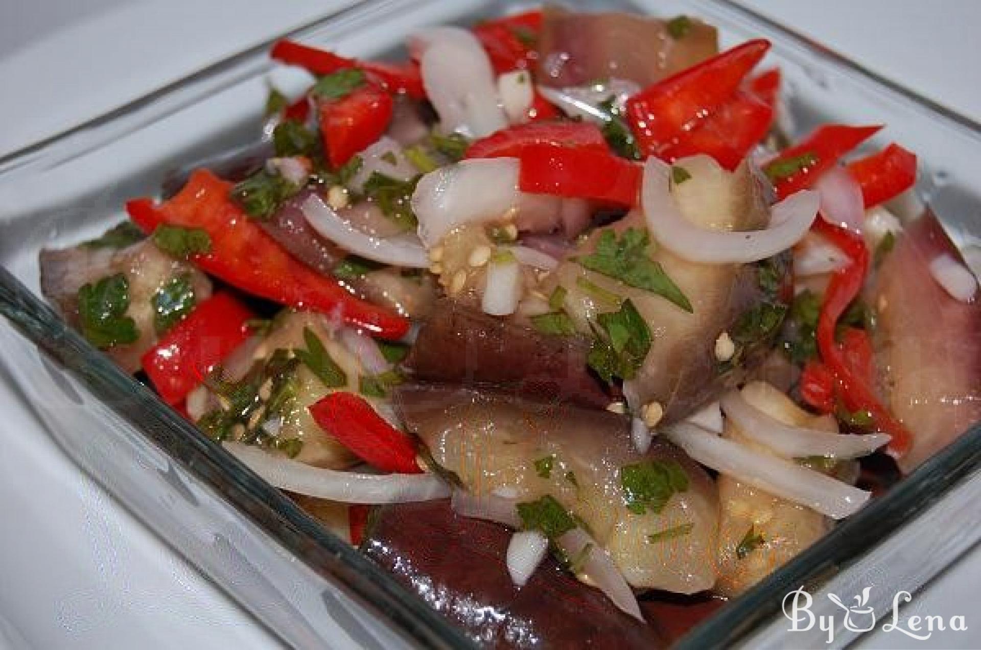 Easy Marinated Eggplant Salad - ByLena.com