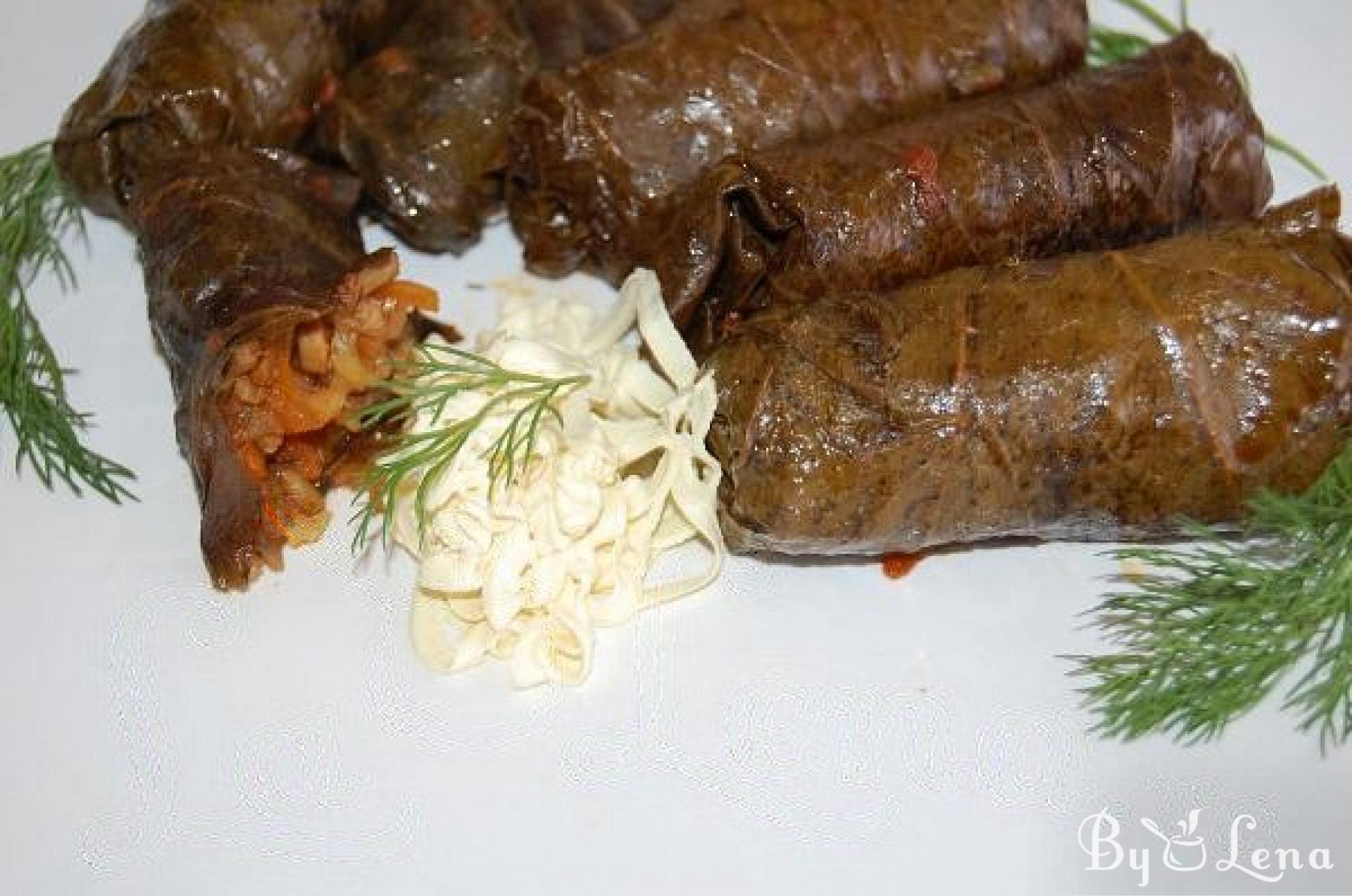Vegetarian Stuffed Grape Leaves - ByLena.com