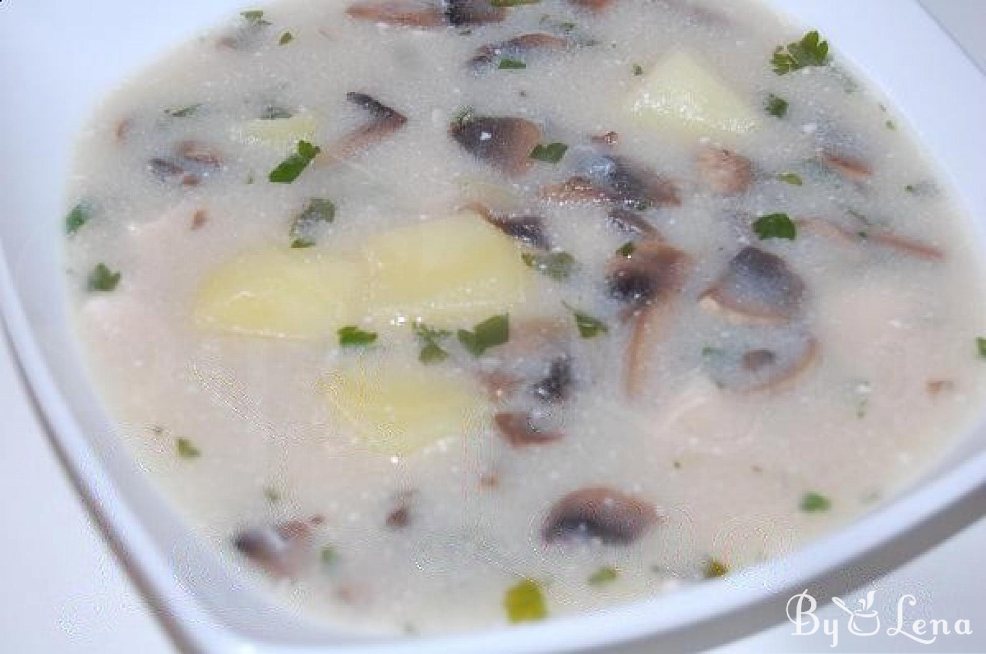 Creamy Mushrooms and Chicken Soup - ByLena.com