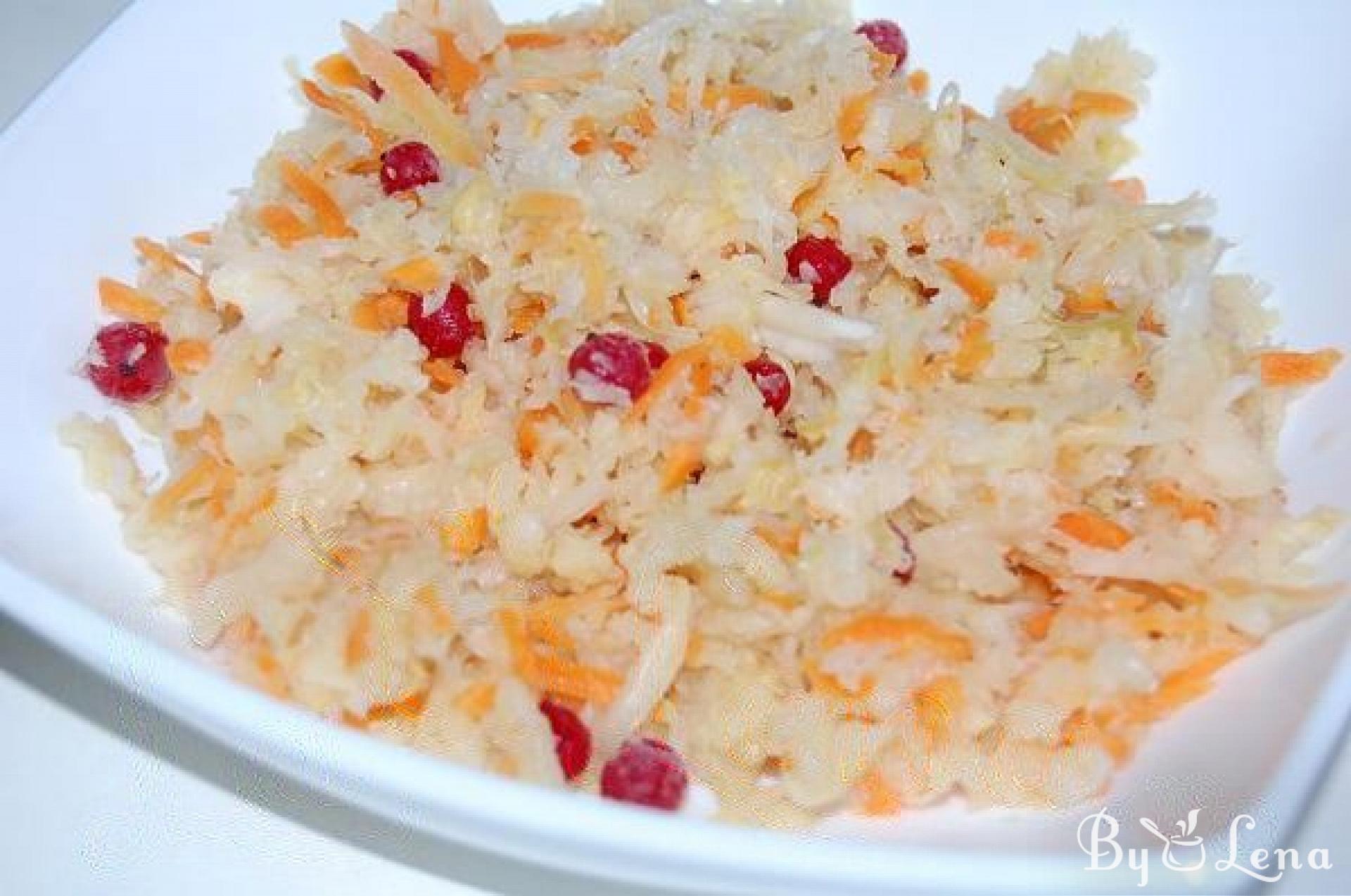 Homemade Sauerkraut - ByLena.com