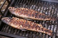 Grilled Trout Recipe