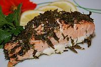 Baked Salmon in Parsley Crust