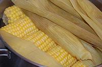 Boiled Corn on Cobs
