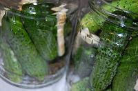 Pickled Cucumbers - Step 3