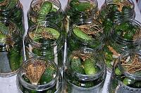 Pickled Cucumbers - Step 5