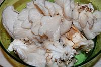 Raw Creamy Vegan Mushroom Soup - Step 2
