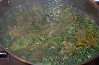 Chicken Nettle Soup with Sorrel - Step 8