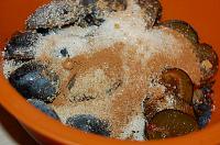 Easy-to-Make Plum Crumble Recipe - Step 1