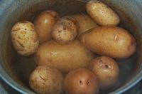 Potato Curry - Step 1