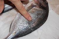 Easy Grilled Dorada - Step 2