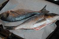 Easy Grilled Dorada - Step 3