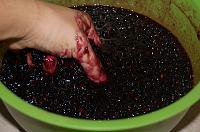 Homemade Blueberry Jam - Step 2