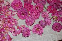 Homemade Rose Petal Jam - Step 2