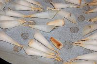 Mushroom Cookies - Step 18