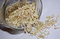 How to Grow Sprouts in a Jar - Step 20