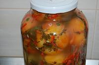 Quick Fermented Green Tomatoes - Step 11