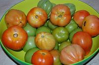 Quick Fermented Green Tomatoes - Step 1