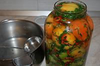 Quick Fermented Green Tomatoes - Step 8