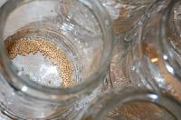 Pickled Pepper in Vinegar - Step 2