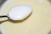 Homemade Natural Fermented Yoghurt - Step 2
