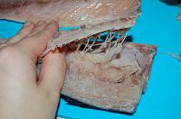 Pickled Mackerel or Herring (Selyodka) - Step 8