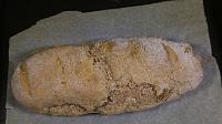 No Yeast, Quick Homemade Bread - Step 12