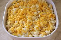 Easy Mac and Cheese Pasta - Step 16