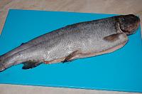 Grilled Trout Recipe - Step 1