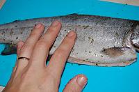 Grilled Trout Recipe - Step 4