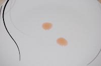 Quince Jelly - Step 12