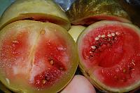 Whole Pickled Watermelon - Step 10