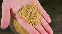 Easy Bulgur Pilaf - Step 1