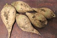 Moldovan Sugar Beet and Walnut Pies - Step 1